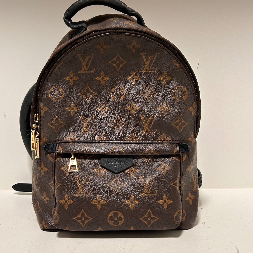 Louis Vuitton Palm Springs PM